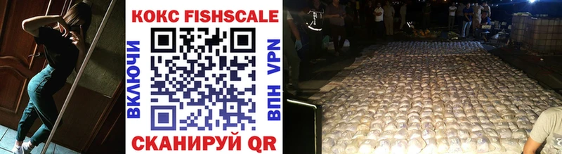купить закладку  Кирсанов  КОКАИН FishScale 