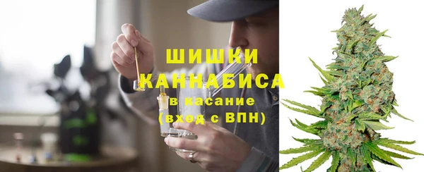 индика Ветлуга