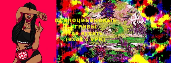 тгк Новокубанск