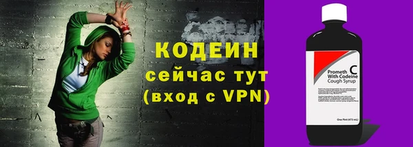 дмт Новозыбков