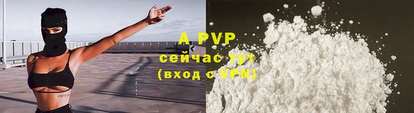 дмт Новозыбков