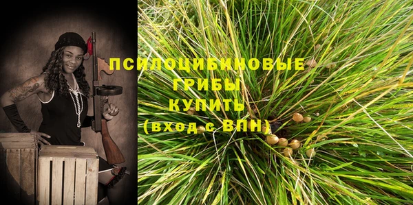 mdma Новодвинск