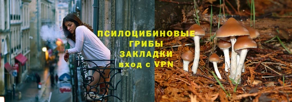 mdma Новодвинск
