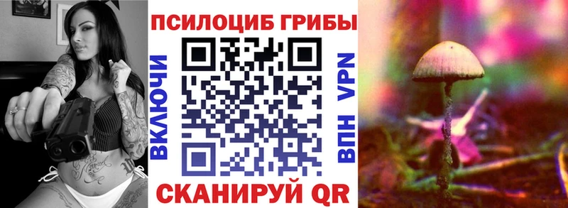 где купить наркоту Кирсанов Галлюциногенные грибы Magic Shrooms